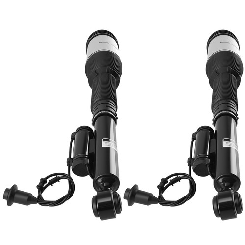 Pair rear air - rear, damper